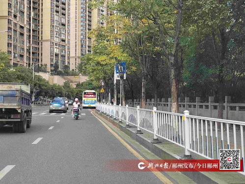 九子塘小學(xué)附近道路交通安全設(shè)施已完善
